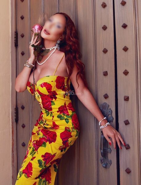 AYLIN NOIR