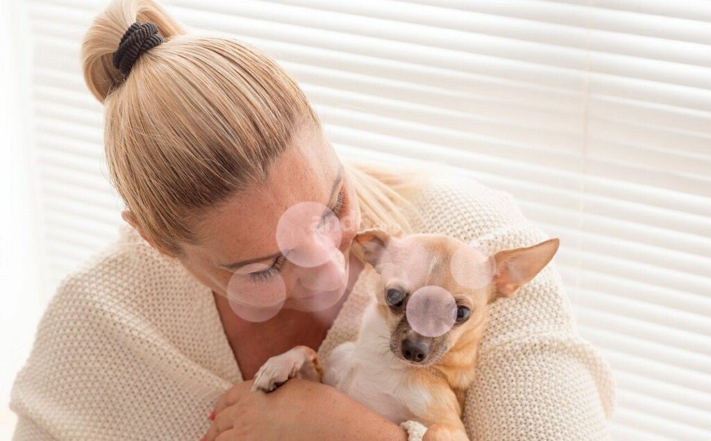 Silvi – Emmenbrücke photo 1