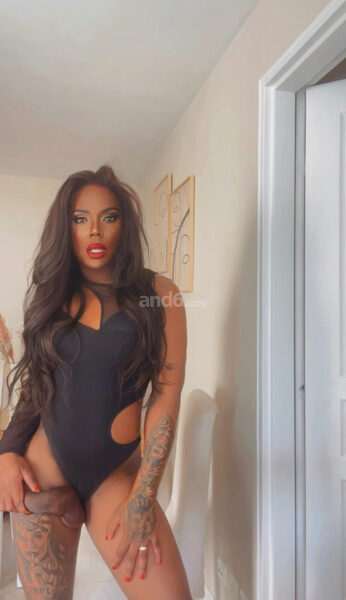 TS LABELLE BLACK