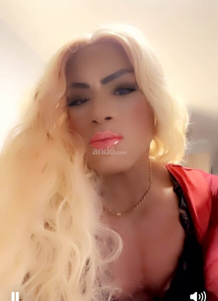 Ts Donatella