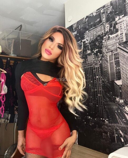Ts Donatella