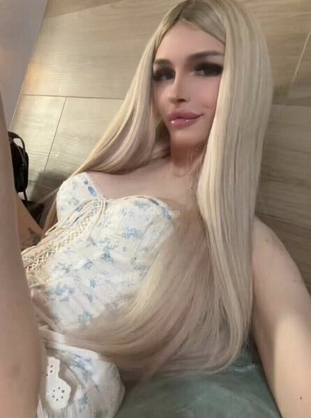 Trans Jules