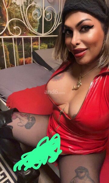 TS LADY DONNA