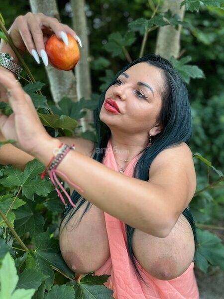 Nikol