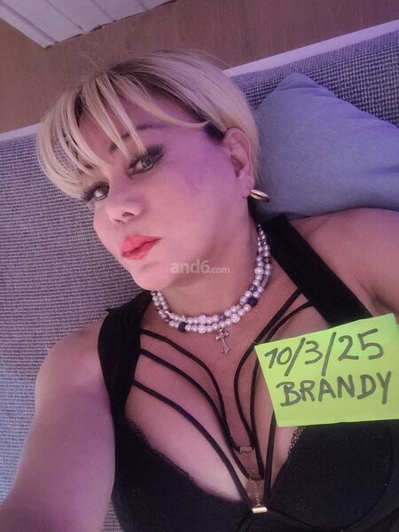 TS BRANDY